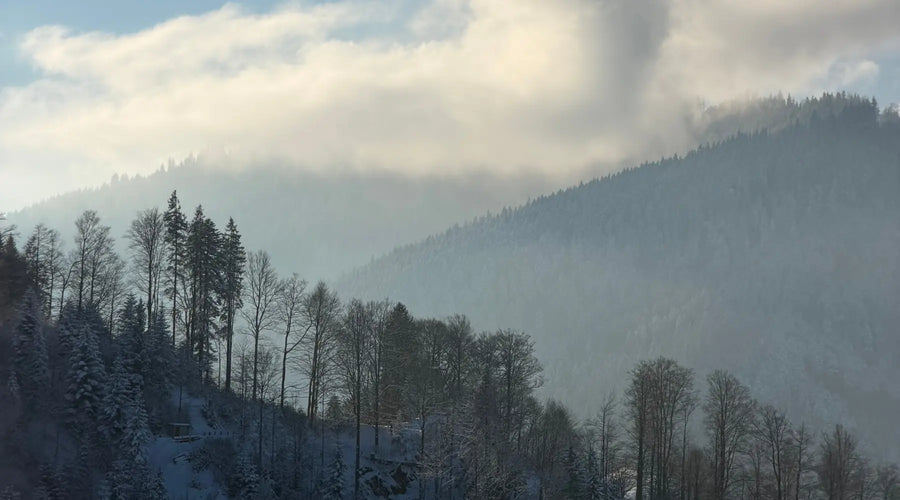 Winterlandschaft mit Wald und Hügeln