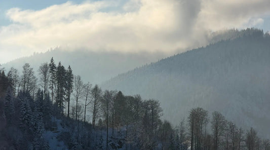 Winterlandschaft mit Wald und Hügeln