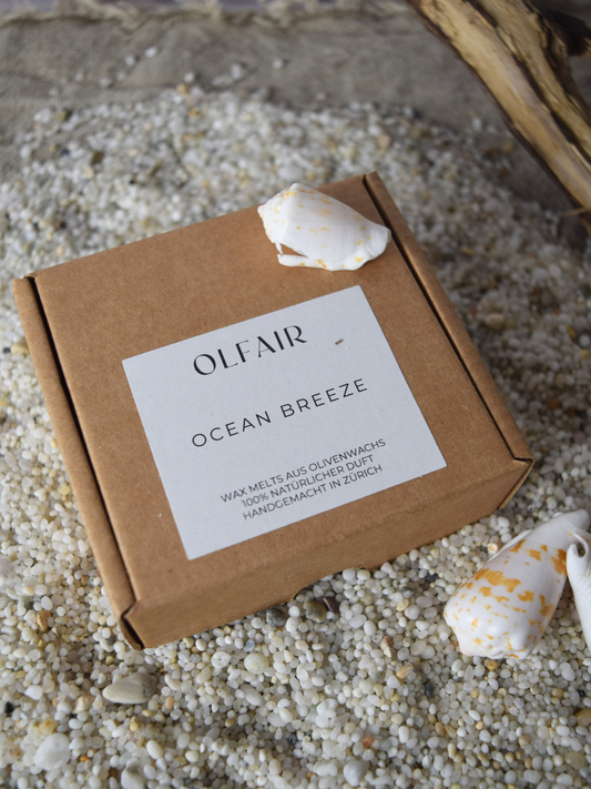 Duftwachs Ocean Breezeel. Sand, Muscheln und Holz als Dekoration.