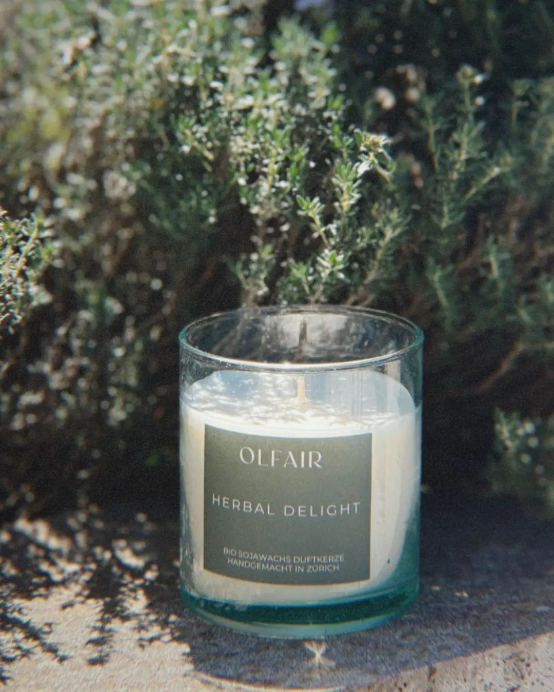 herbal delight Duftkerze mit Salbei und Bergamotte aus Olivenwachs kaufen – handgemachte Olfair Kerze für aromatische Wohnatmosphäre, entspannende Duftkerzen für Zuhause, Geschenkidee und natürliche Raumdüfte online bestellen