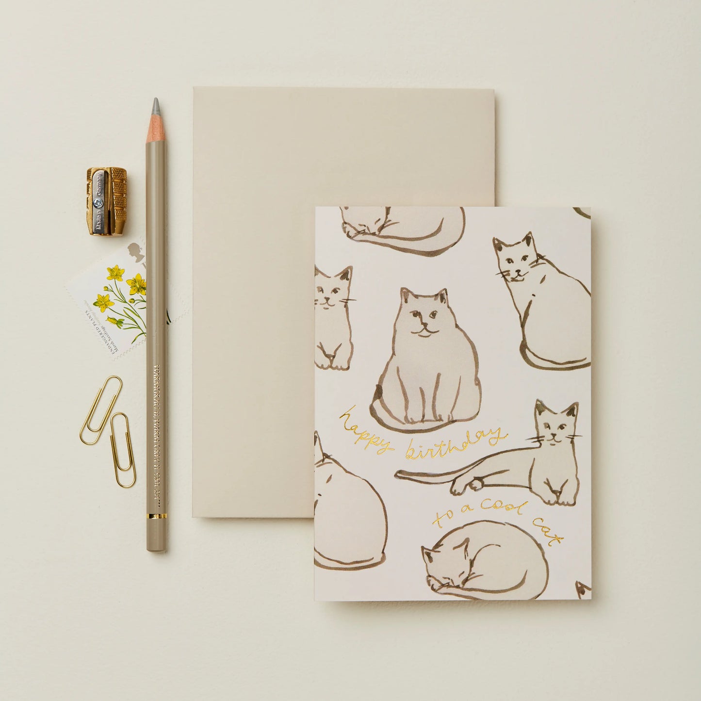 Geburtstagskarte mit Katzenmotiv.